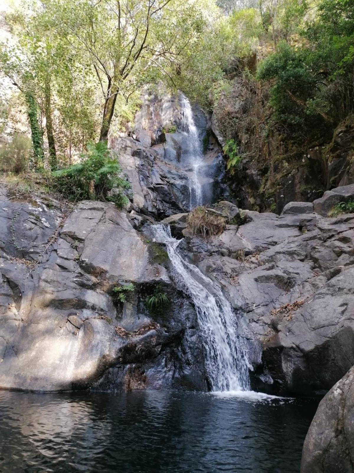 Quinta Mata Da Se Hotel Miranda do Corvo Luaran gambar